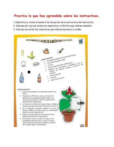 Esturctura del texto instructivo
