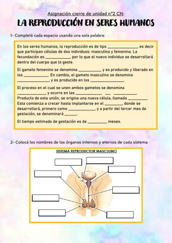 La reproducción en seres humanos