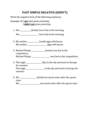 Past Simple negative didn't