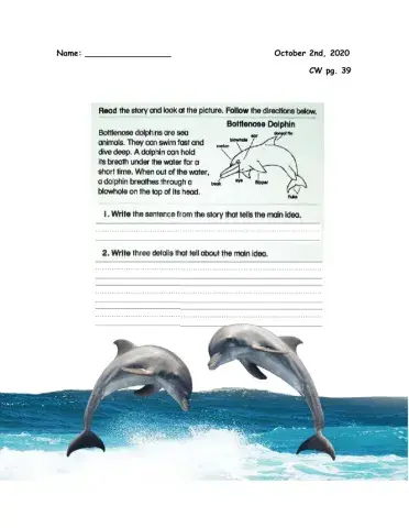 Main idea and details