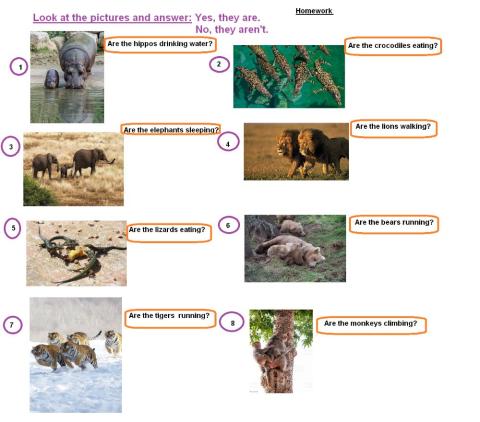 Wild animals- Yes, they are. No, they aren't.