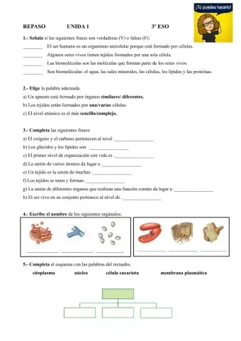 Repaso 3º ESO