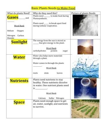 Basic Needs of  a plant