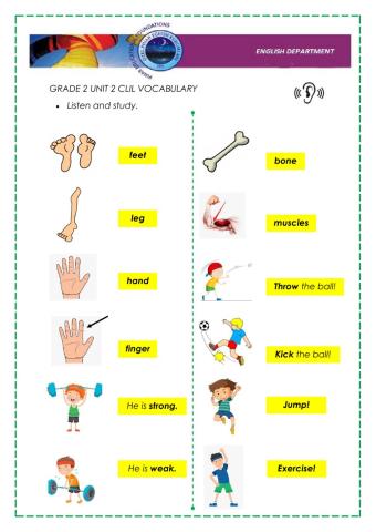 Grade 2 unit 2 clil vocabulary