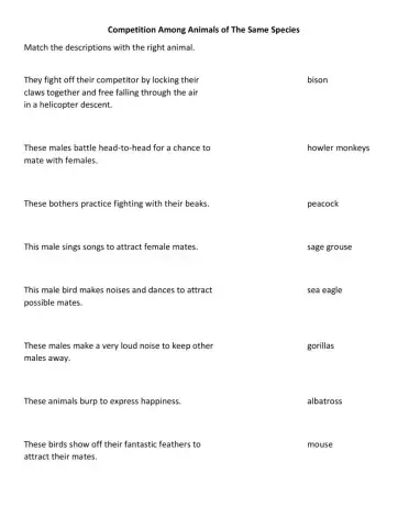 Competition Among Animals