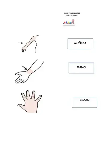 LECTURA GLOBAL CUERPO