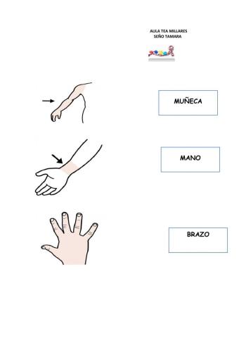 LECTURA GLOBAL CUERPO