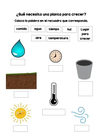 Necesidades de las plantas
