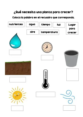 Necesidades de las plantas