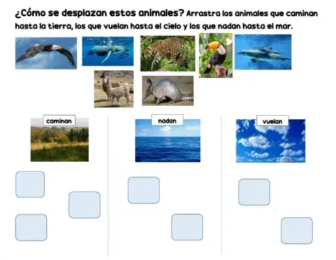 Desplazamiento de los animales