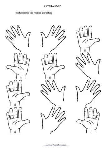 Ed. Física Lateralidad