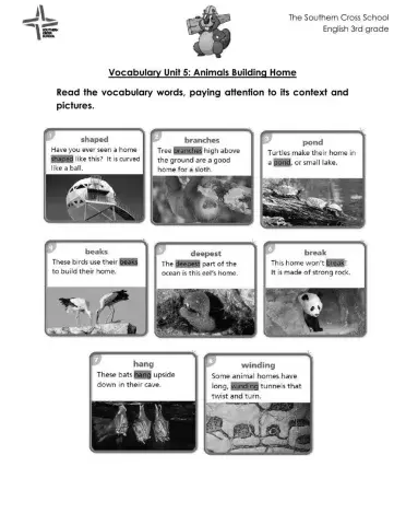 Vocabulary words -Animals Building Homes-