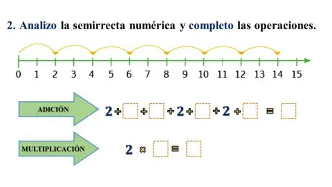 Matemática en acción