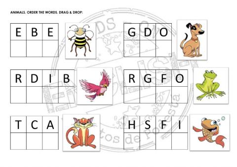 New treetops 1 - Unit 7 - Animals