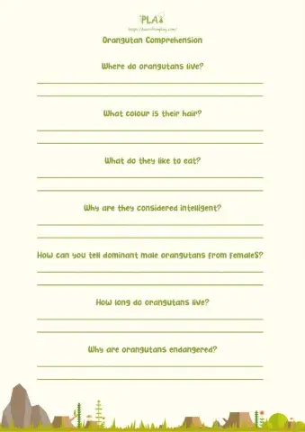 There's A Rang-Tan In My Bedroom - Comprehension