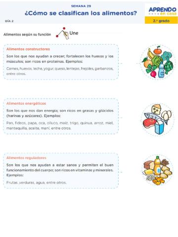 ¿Cómo se clasifican los alimentos?