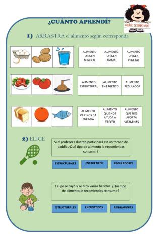 ¿Cuánto aprendí de la clasificación de alimentos?