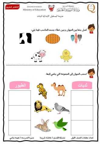 الثدييات والطيور