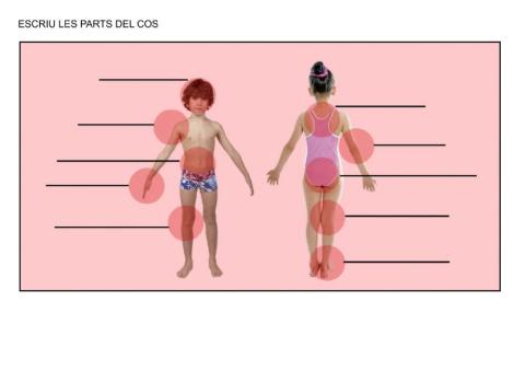 Parts del cos