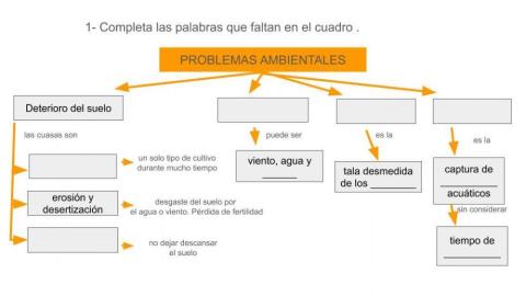 Problemas ambientales