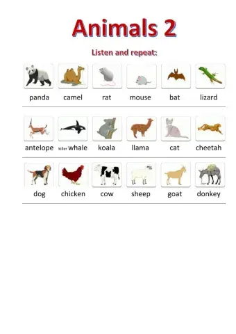 Animals - listen and repeat 2