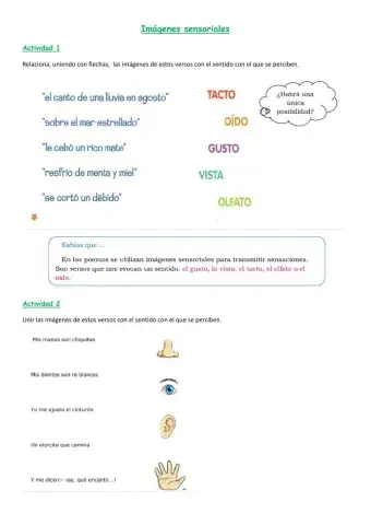 Imàgenes sensoriales