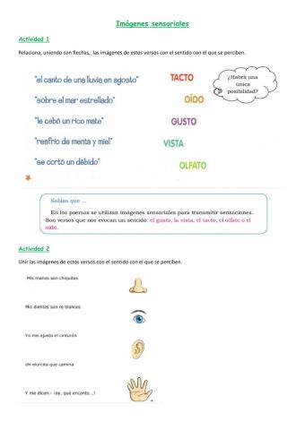 Imàgenes sensoriales