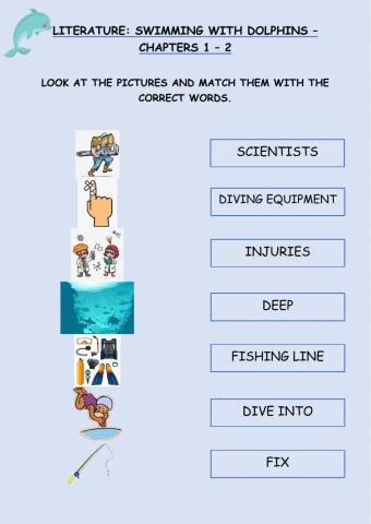 Swimming with Dolphins