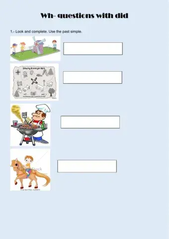 Will or won't & wh- questions in the past