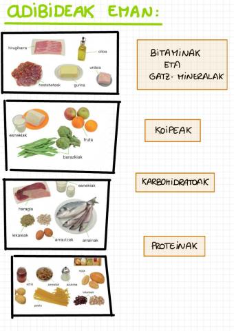 Mantenugaiak (piramidea)
