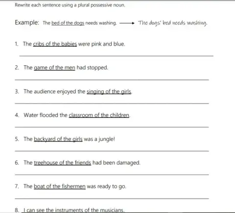 Plural Noun Possessives 2