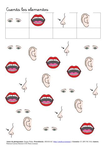 SA Cuerpo humano. Conteo