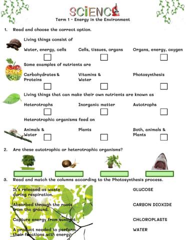 Energy in the Environment
