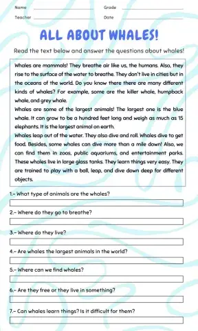 All about whales! - 21.10