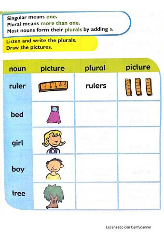 Plural Nouns