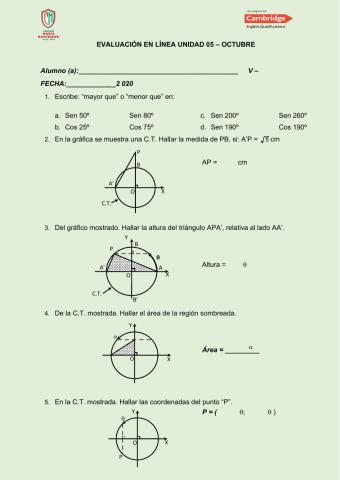 Líneas trigonométricas