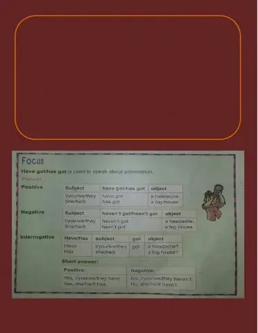 Present perfect for grade 5