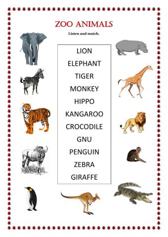 Zoo animals