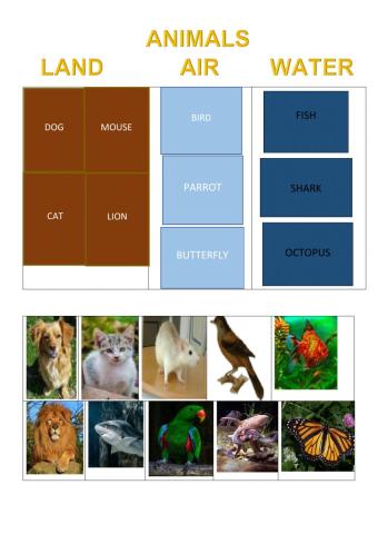 Animals: air,land and water