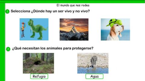 El mundo que nos rodea