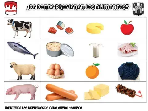 Derivados de animales