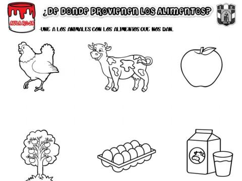 Derivados de los animales