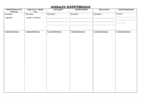 Reino animal: Invertebrados