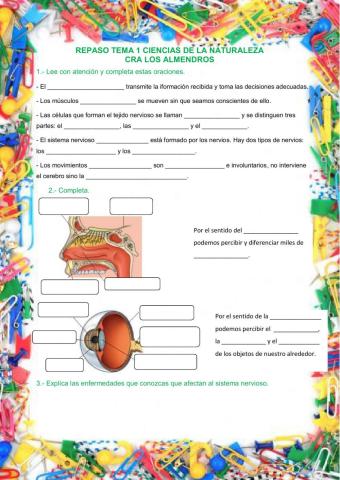 Repaso Naturales tema 1