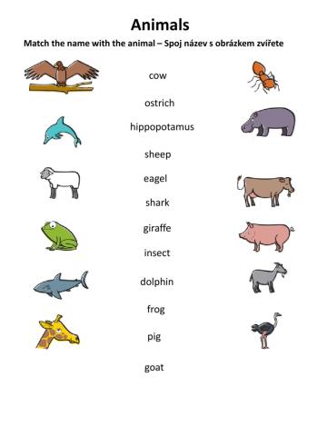 Animals - vocabulary practice