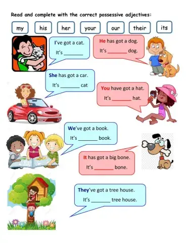 Possessive adjectives reading activity 2