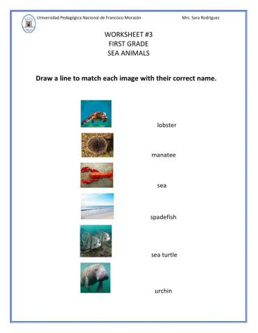 Worksheet -3 Sea Animals