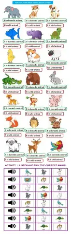 Domestic and wild animals