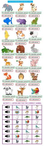 Domestic and wild animals