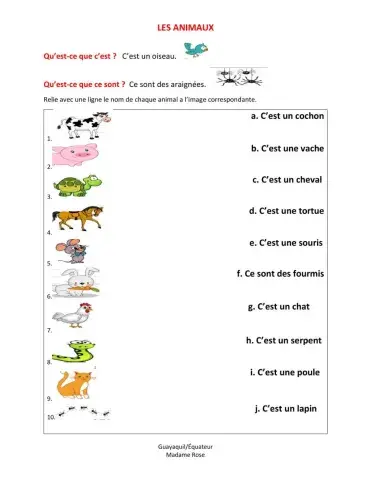 Qu'est-ce que c'est? + les animaux